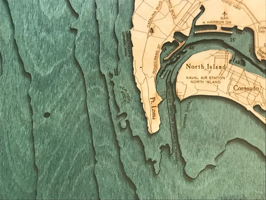 Natural Birch Plywood Topographical Ocean Map Of San Diego Coastline 24.5' X 31' Retails $298 [Photo 5]