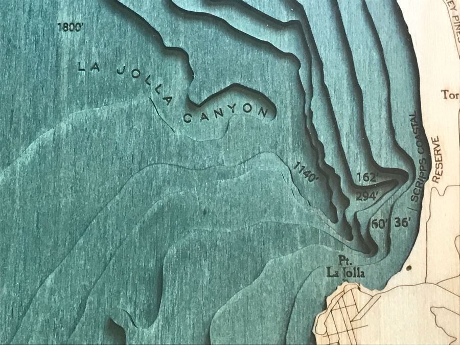 Natural Birch Plywood Topographical Ocean Map Of San Diego Coastline 24.5' X 31' Retails $298 [Photo 6]