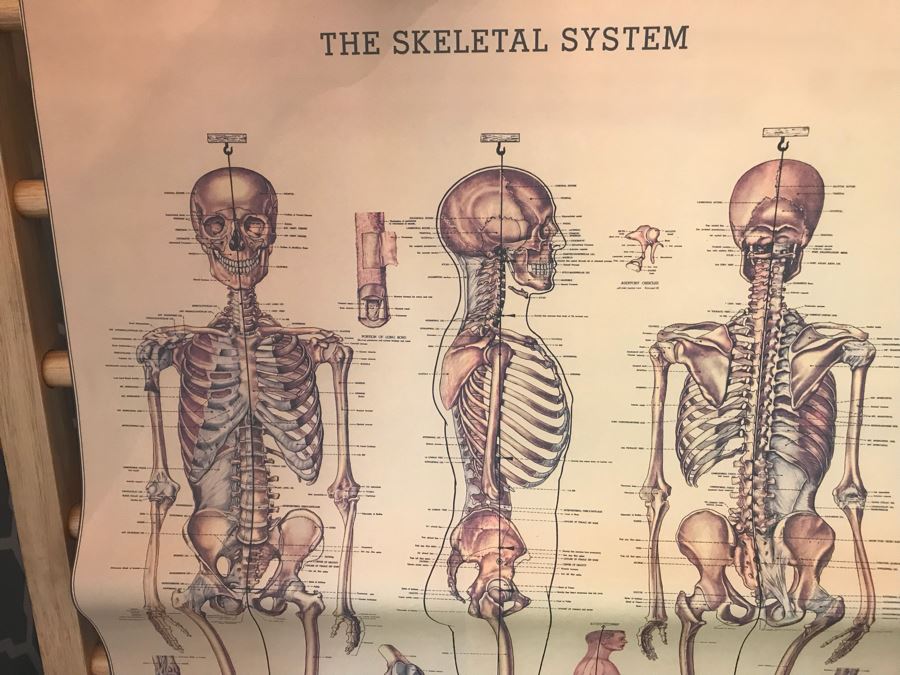 Huge Lot With Wooden Poster Display Stand 57'H (Use For Linens) Filled With Reproduction Vintage Posters, DIY Vintage Poster Kits And Wire Basket 14.5'H - See Photos For Details [Photo 5]