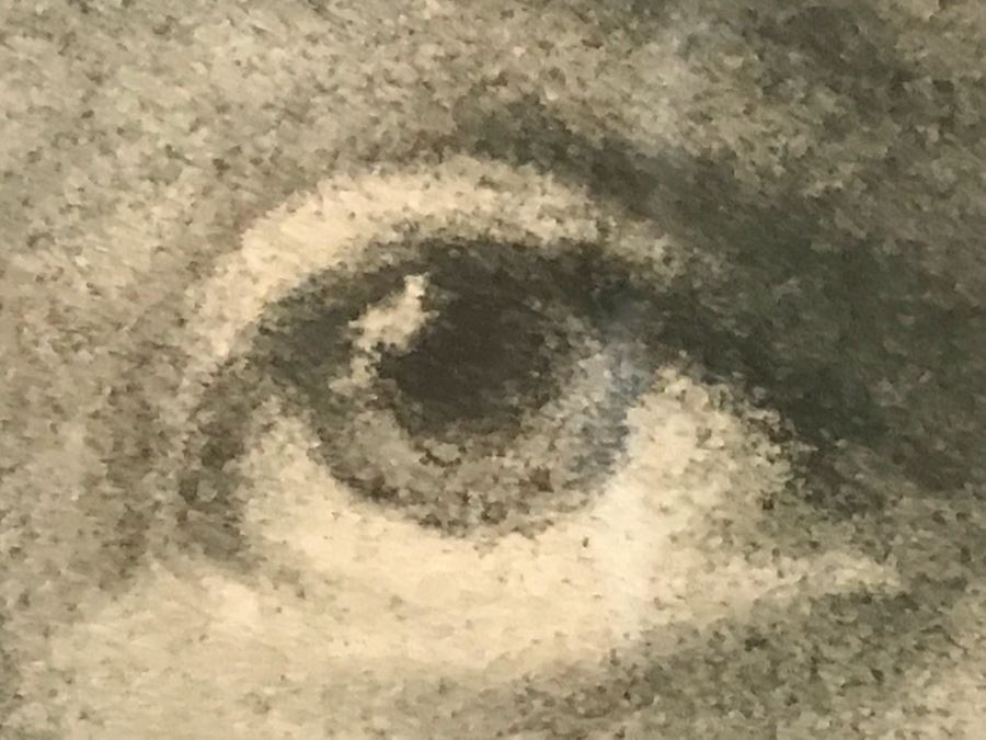 Vintage Framed Portrait 41' X 30' [Photo 10]