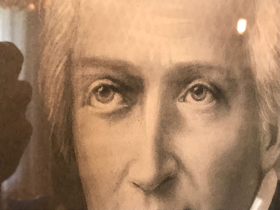 Vintage Framed Portrait 41' X 30' [Photo 9]