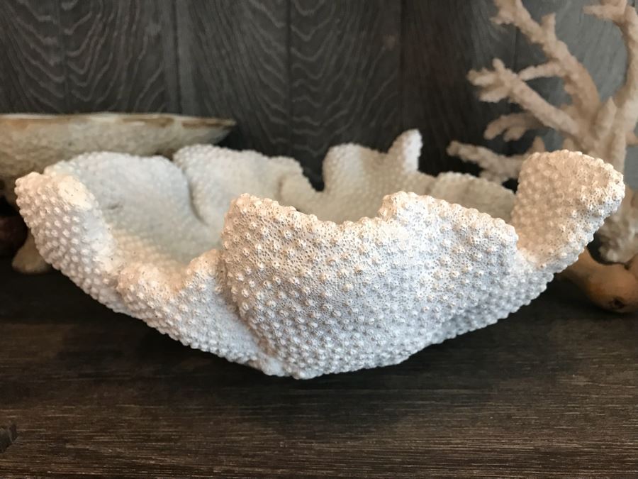 Pair Of Faux Coral Display Pieces, Pair Of Driftwood Pieces And Vase [Photo 3]