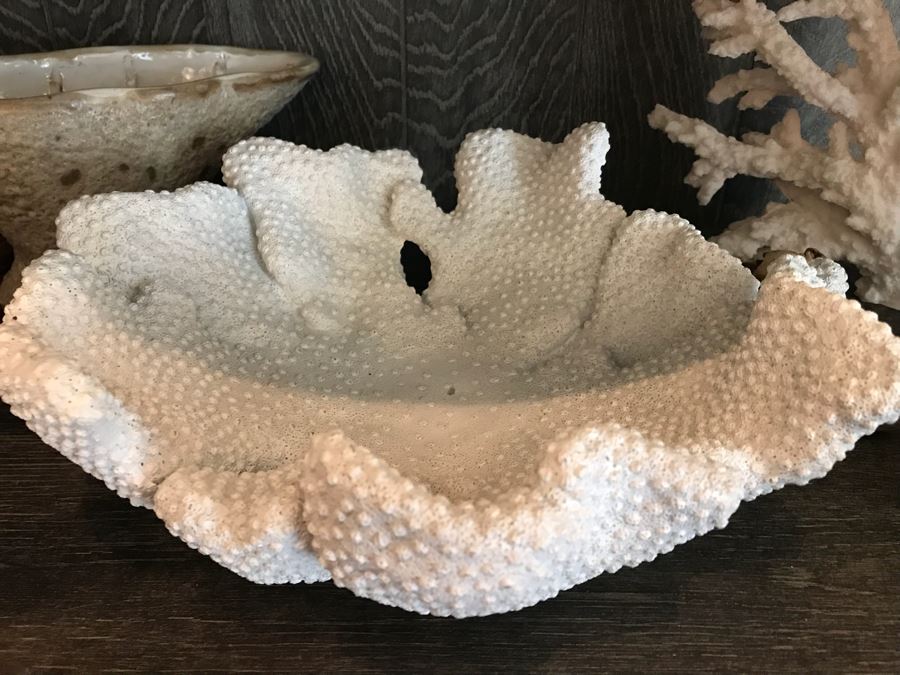 Pair Of Faux Coral Display Pieces, Pair Of Driftwood Pieces And Vase [Photo 2]