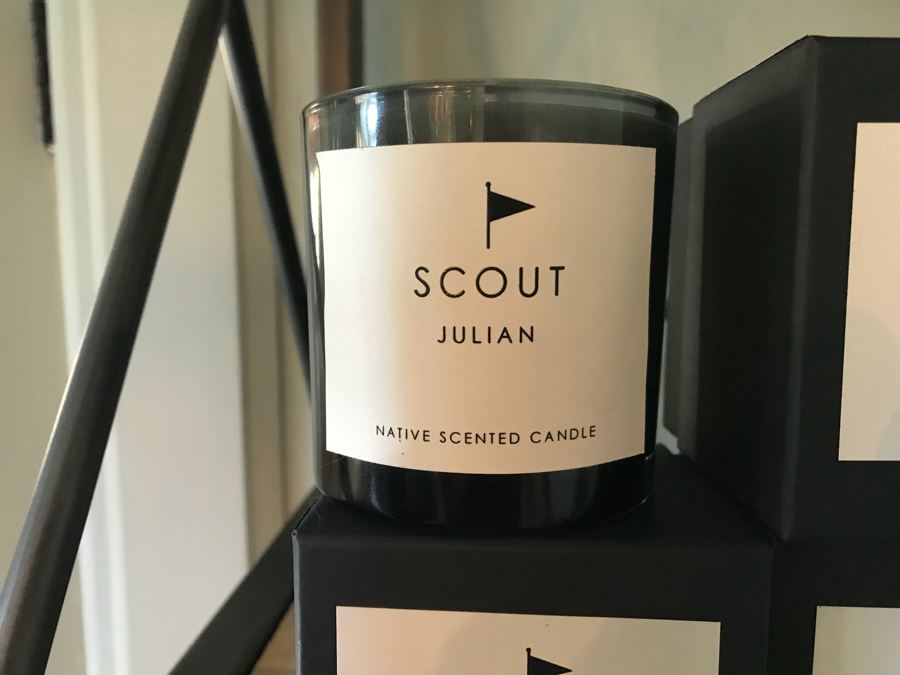 Set Of (8) Native Scented Candles Del Mar, Julian, La Jolla Retail $280 [Photo 3]