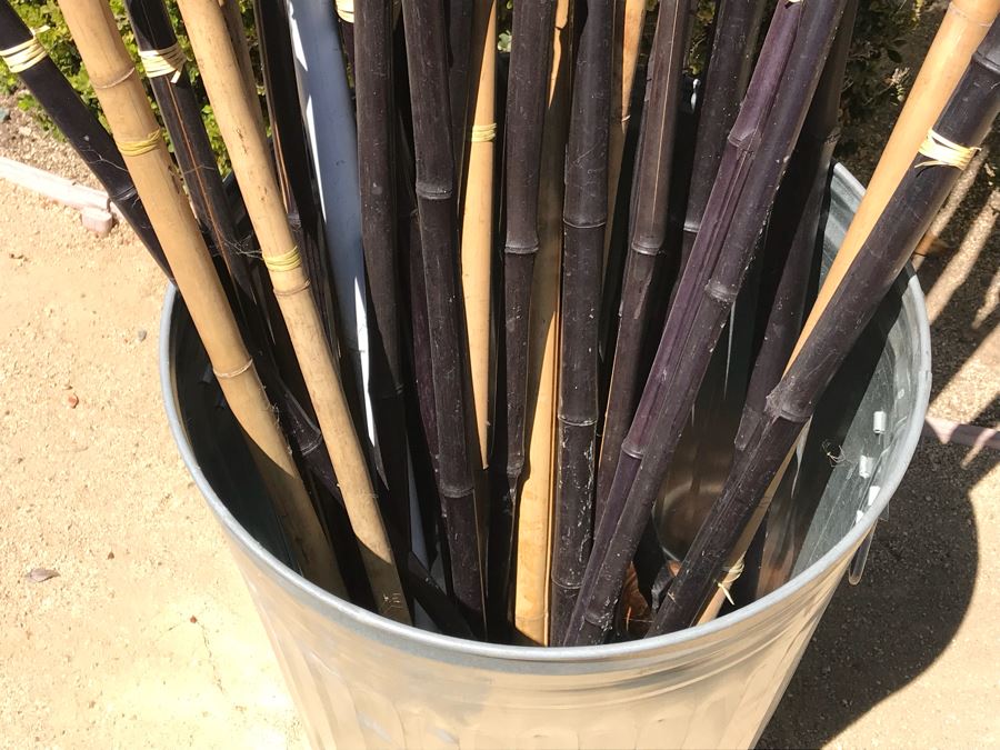 Galvanized Metal Garbage Can Filled With Outdoor TIKI Lights [Photo 10]