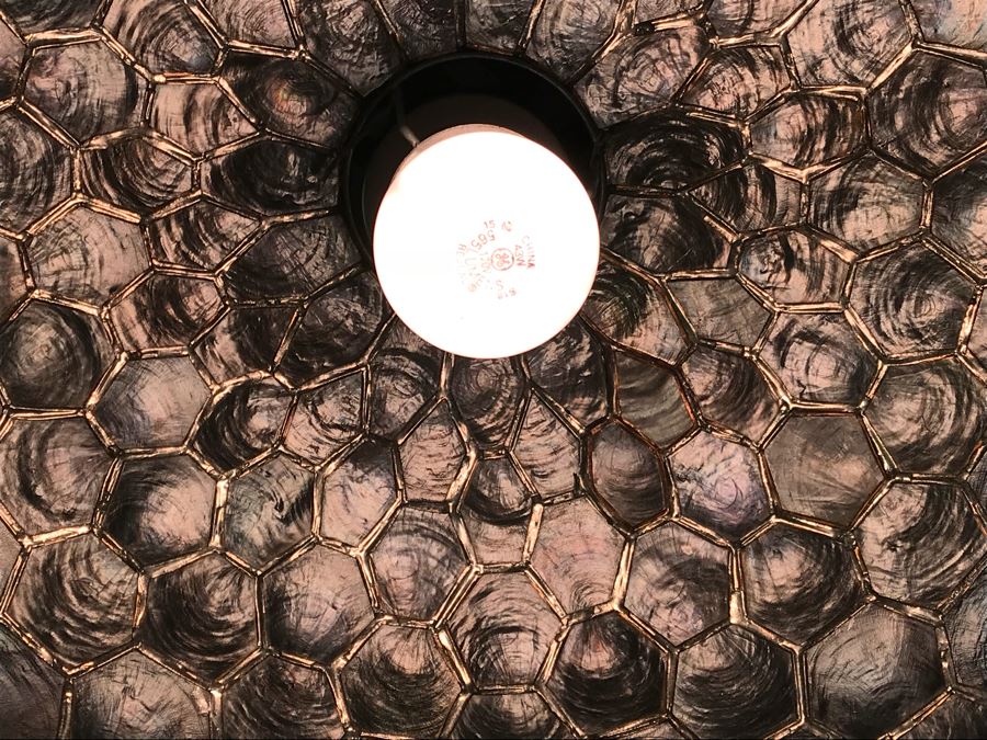 Large Capiz Shell Globe Chandelier [Photo 8]