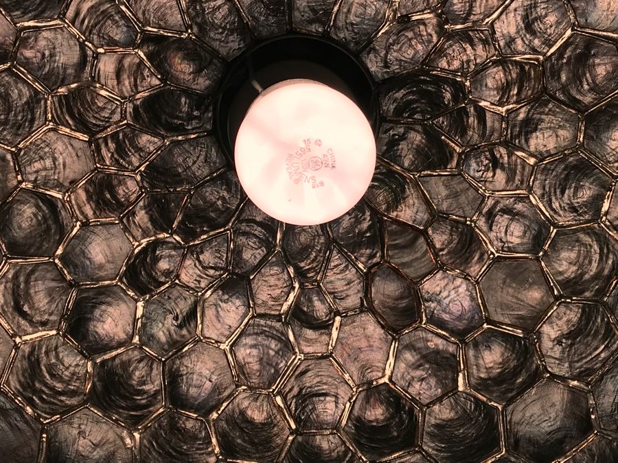 Large Capiz Shell Globe Chandelier [Photo 9]