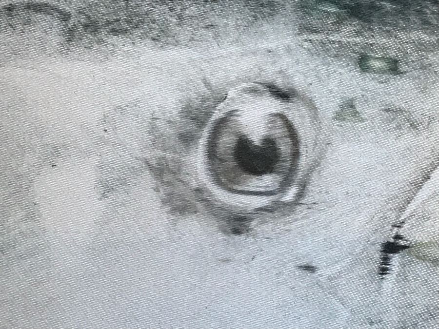 Framed Japanese Fish Painting On Silk Retail $600 [Photo 7]