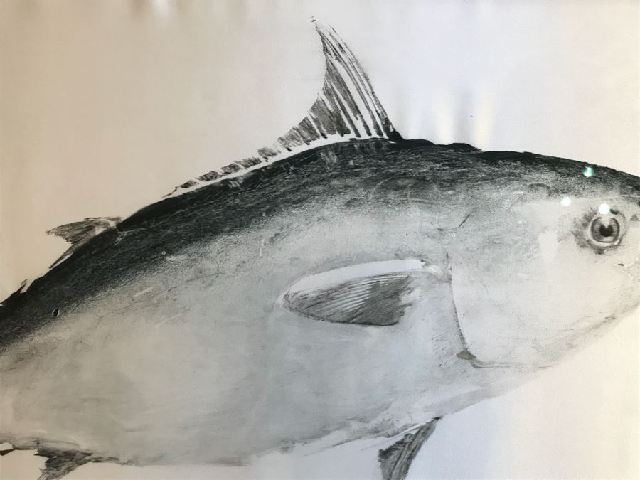 Framed Japanese Fish Painting On Silk Retail $600 [Photo 4]