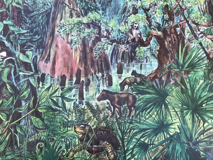 Vintage German School Pull Down Map Braunkohlenwald [Photo 6]