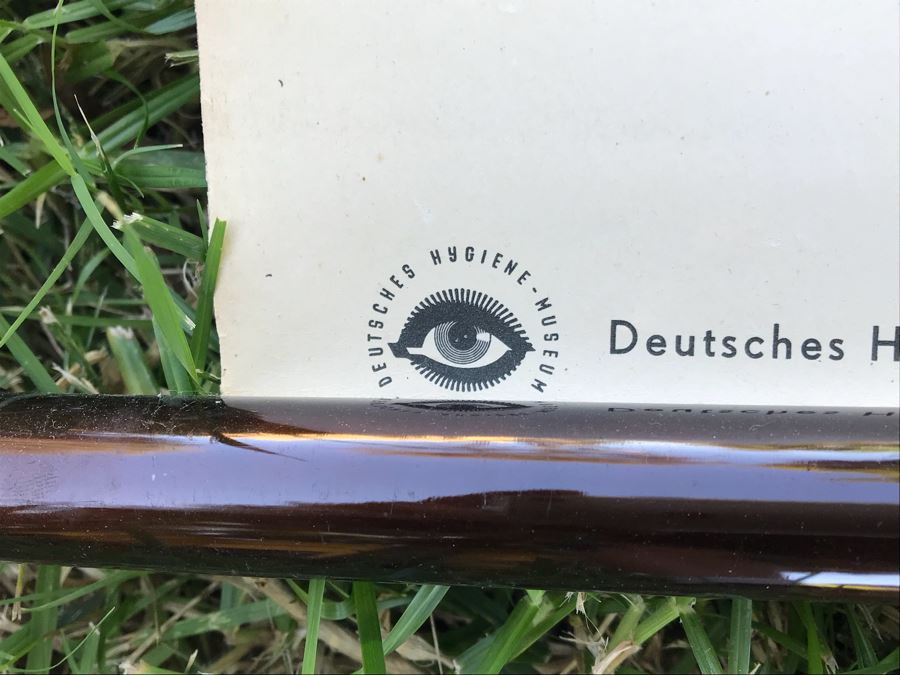 Vintage German School Pull Down Map Of Dog From Deutsches Hygiene - Museum Dresden [Photo 6]