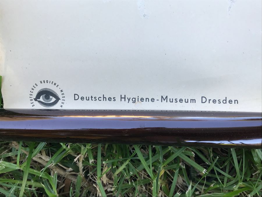 Vintage German School Pull Down Map Of Dog From Deutsches Hygiene - Museum Dresden [Photo 5]