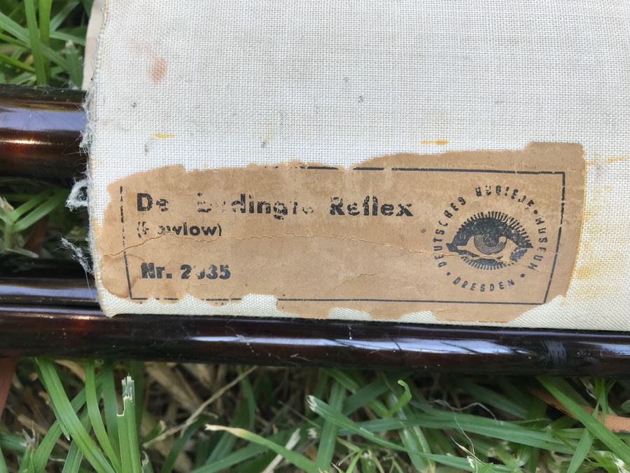 Vintage German School Pull Down Map Of Dog From Deutsches Hygiene - Museum Dresden [Photo 9]