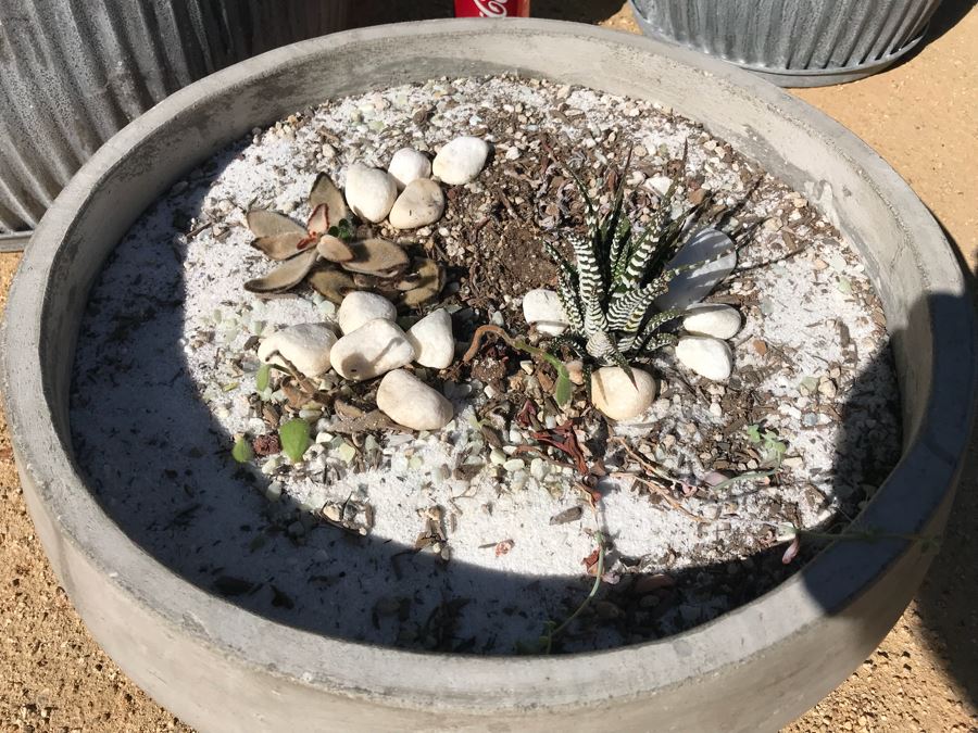 Pair Of Galvanized Metal Planters / Tables And Concrete Plater With Succulents [Photo 4]