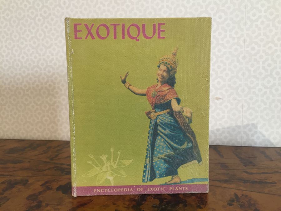 Pair Of Faux Book Safe Boxes [Photo 2]