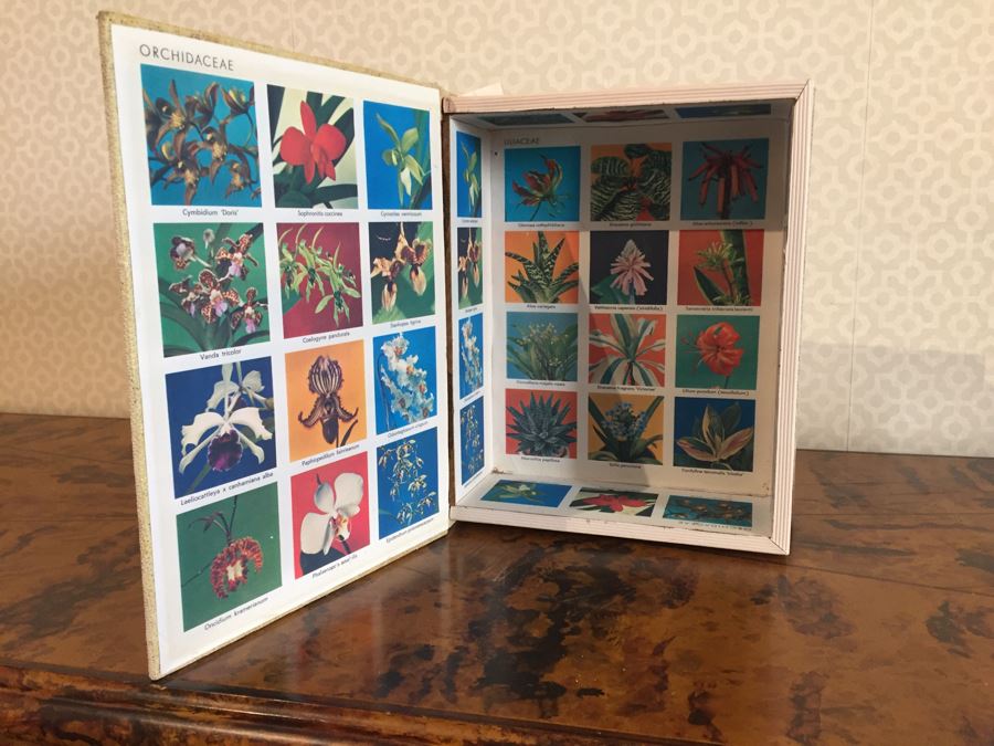 Pair Of Faux Book Safe Boxes [Photo 4]