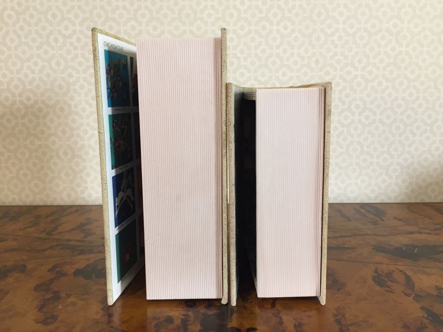 Pair Of Faux Book Safe Boxes [Photo 13]