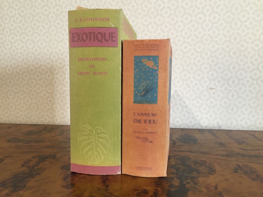 Pair Of Faux Book Safe Boxes [Photo 1]