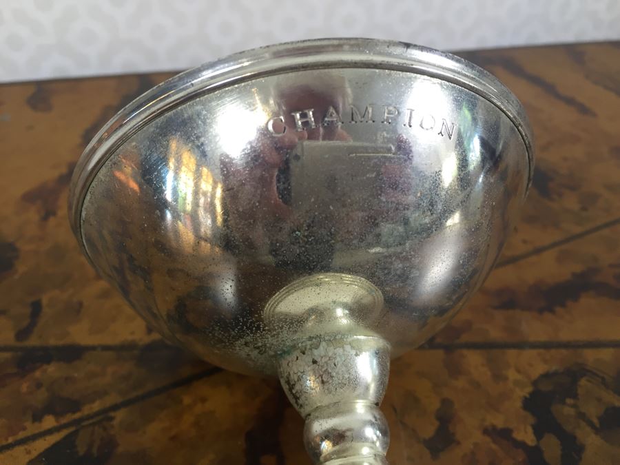 Various Trophies [Photo 15]