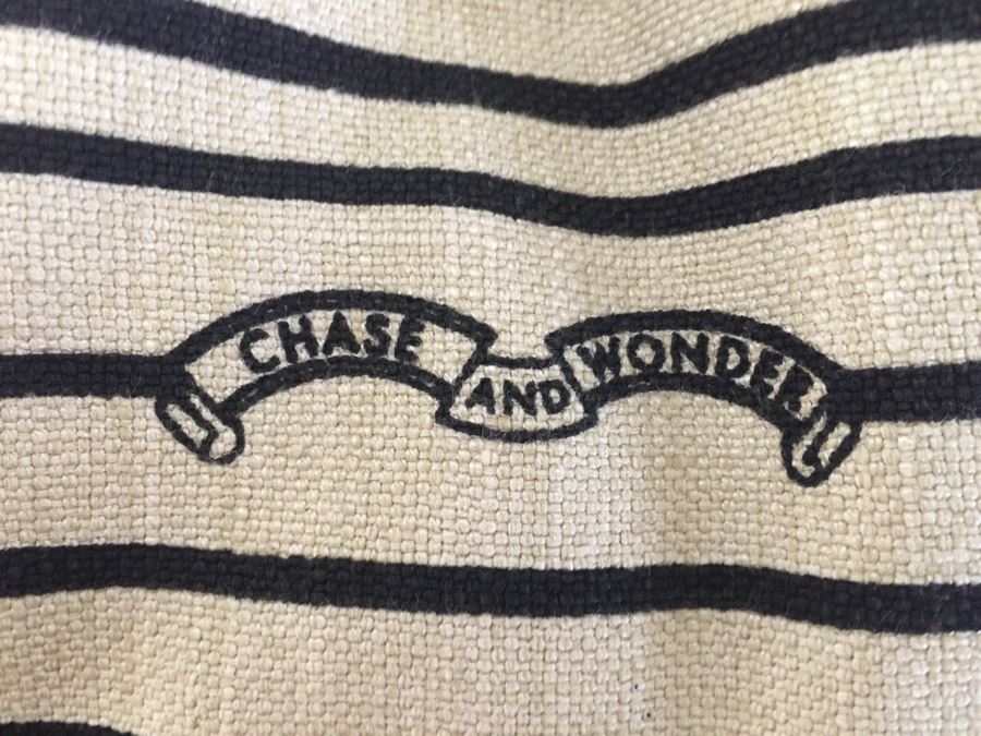 Pair Of New Chase And Wonder Cat Print Throw Pillows 17' X 17' [Photo 3]