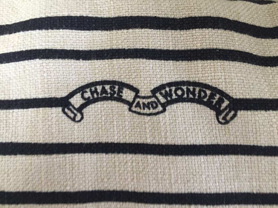 Pair Of New Chase And Wonder Cat And Dog Print Throw Pillows [Photo 6]