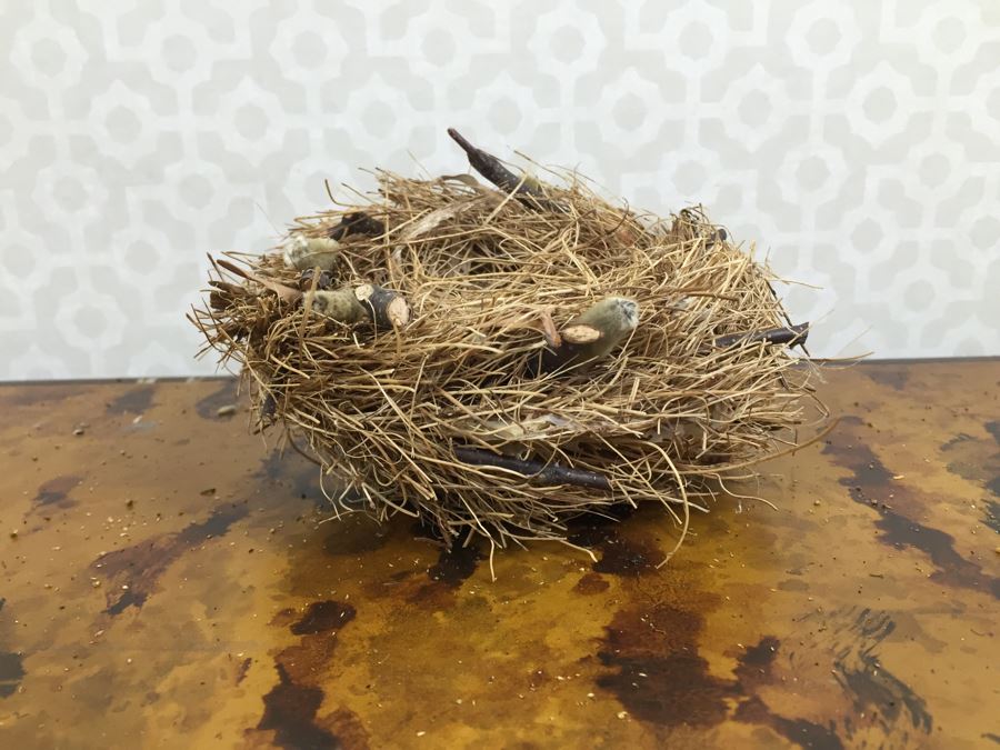 JUST ADDED - Set Of (8) Decorative Bird's Nests [Photo 9]