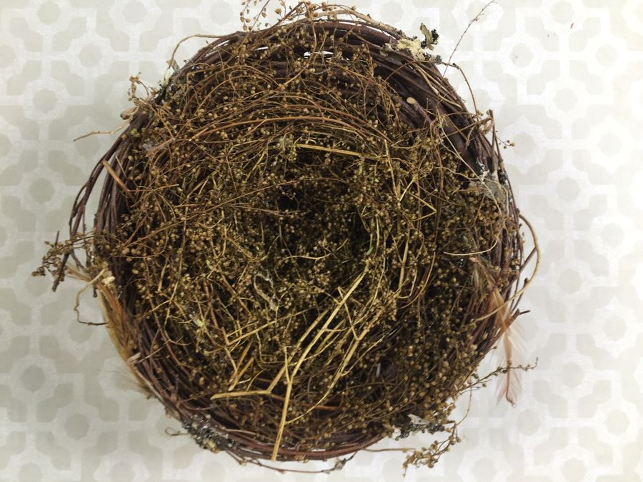 JUST ADDED - Set Of (8) Decorative Bird's Nests [Photo 6]