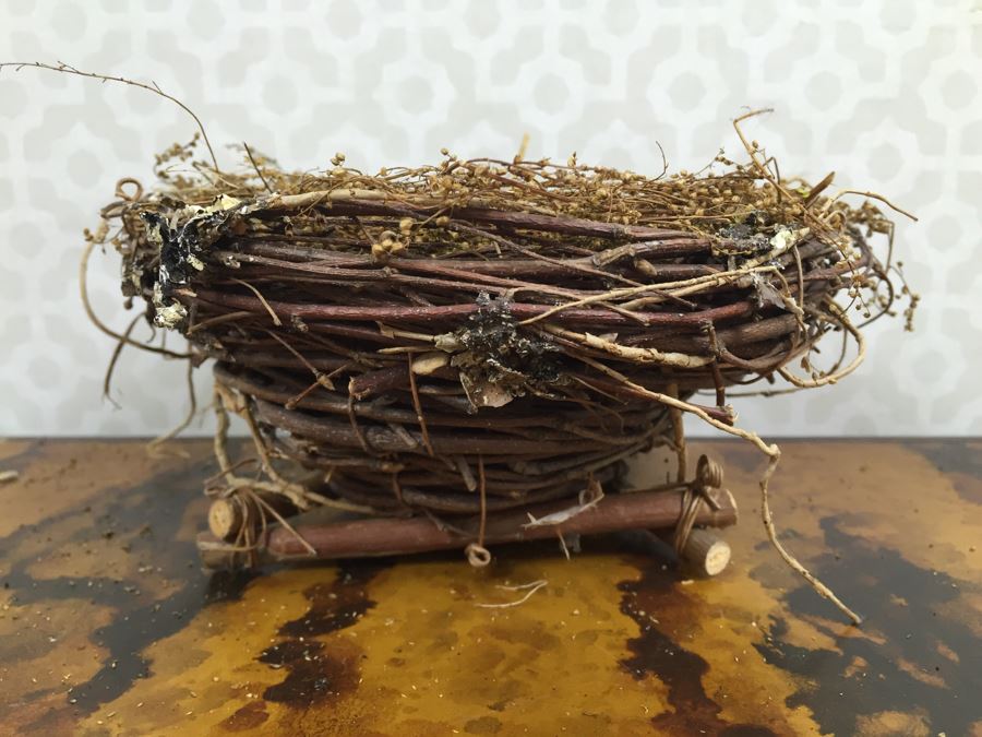 JUST ADDED - Set Of (8) Decorative Bird's Nests [Photo 7]