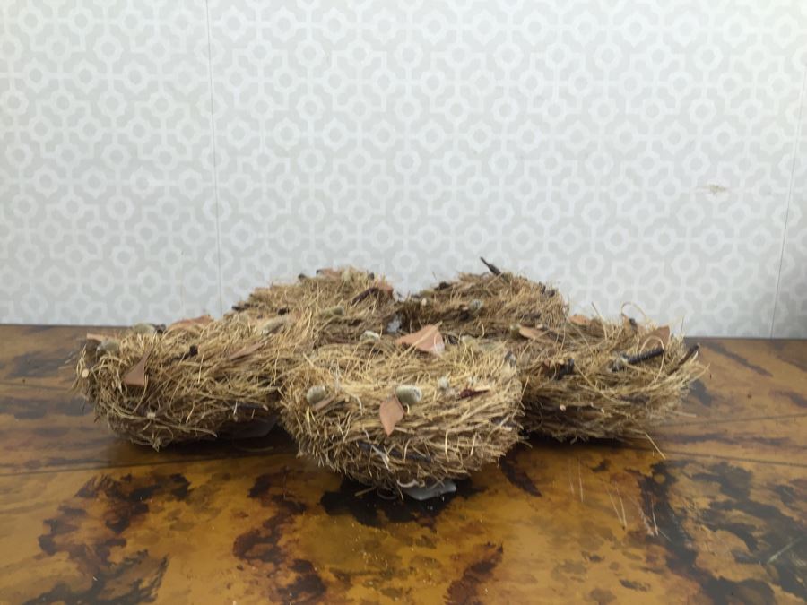 JUST ADDED - Set Of (8) Decorative Bird's Nests [Photo 11]