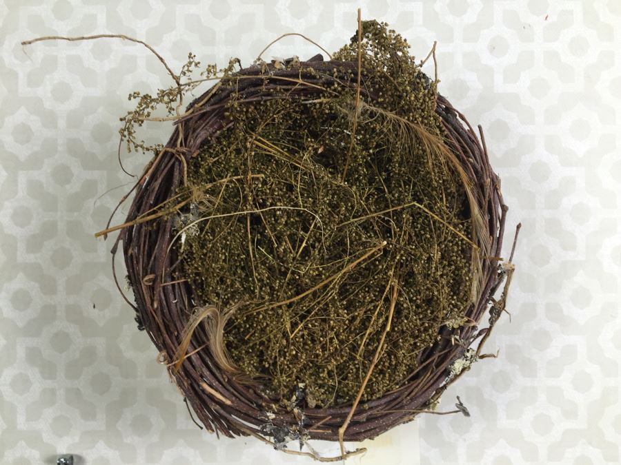 JUST ADDED - Set Of (8) Decorative Bird's Nests [Photo 4]
