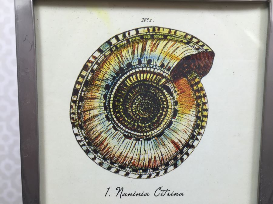 JUST ADDED - Pair Of Adjustable Metal Display Stands [Photo 5]