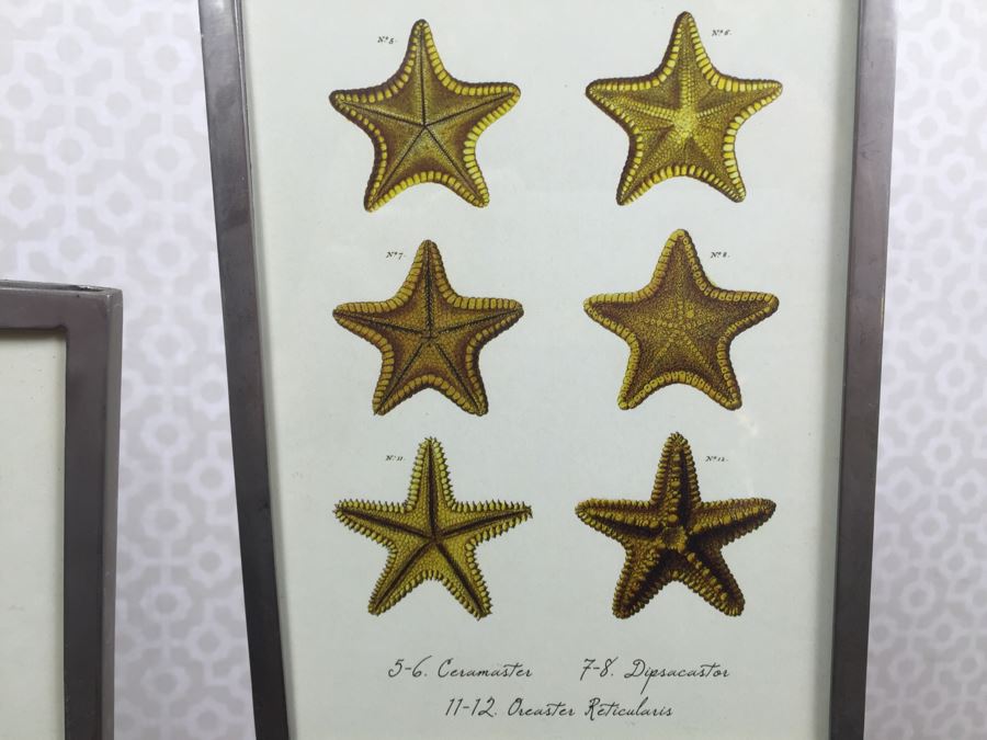 JUST ADDED - Pair Of Adjustable Metal Display Stands [Photo 6]