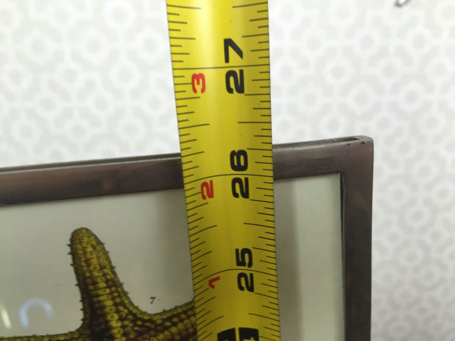 JUST ADDED - Pair Of Adjustable Metal Display Stands [Photo 8]