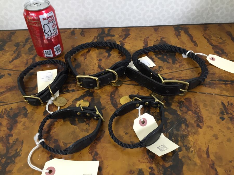 (12) New Designer Dog Collars And Chew Toys [Photo 6]