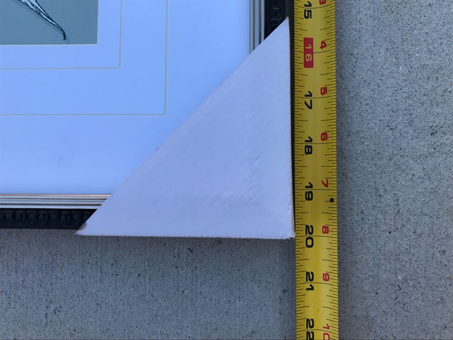 Framed Botantical Print 18' X 20' [Photo 4]