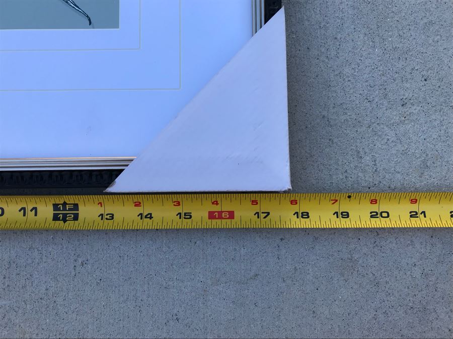 Framed Botantical Print 18' X 20' [Photo 3]