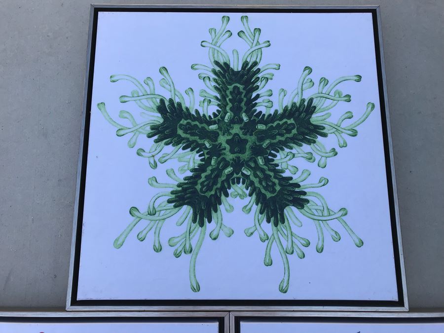 Set Of (3) Framed Canvas Prints Of Ocean Gems Retails $140 [Photo 4]