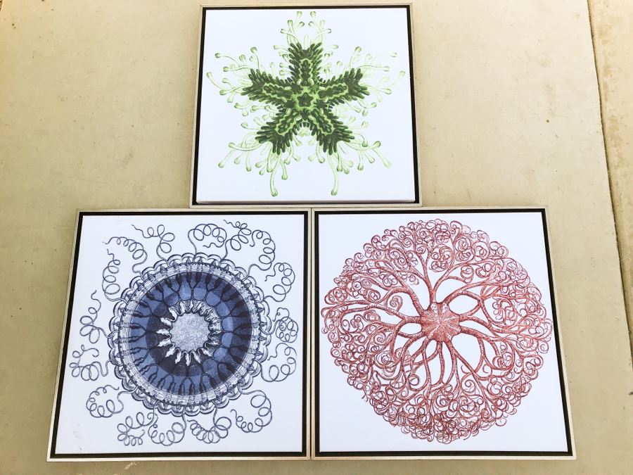 Set Of (3) Framed Canvas Prints Of Ocean Gems Retails $140 [Photo 1]