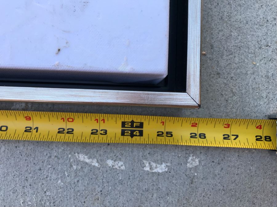 Set Of (3) Framed Canvas Prints Of Ocean Gems Retails $140 [Photo 5]