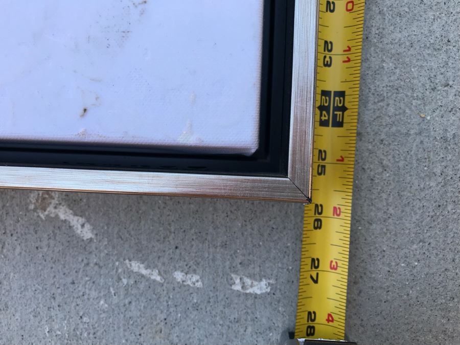 Set Of (3) Framed Canvas Prints Of Ocean Gems Retails $140 [Photo 6]