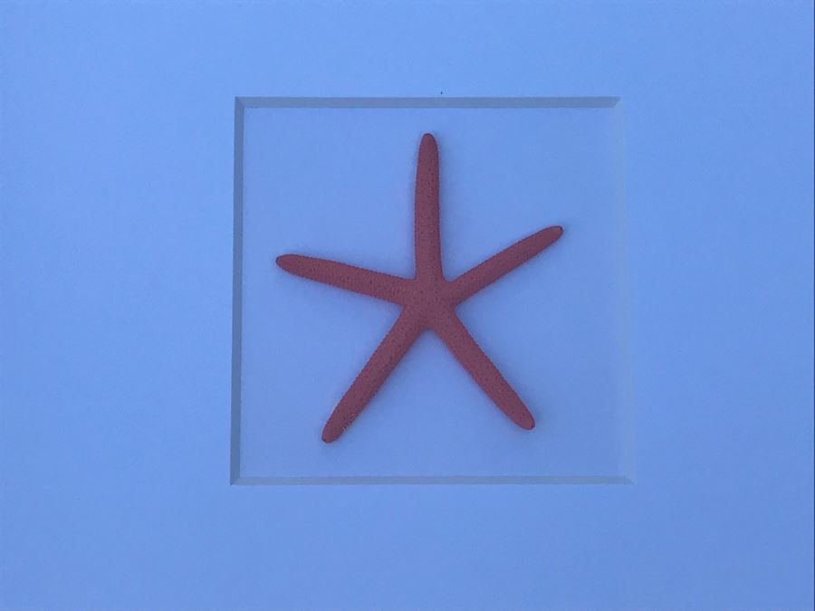 Pair Of Shadow Box Framed Faux Starfish (Larger: 19.5' X 19.5') [Photo 4]