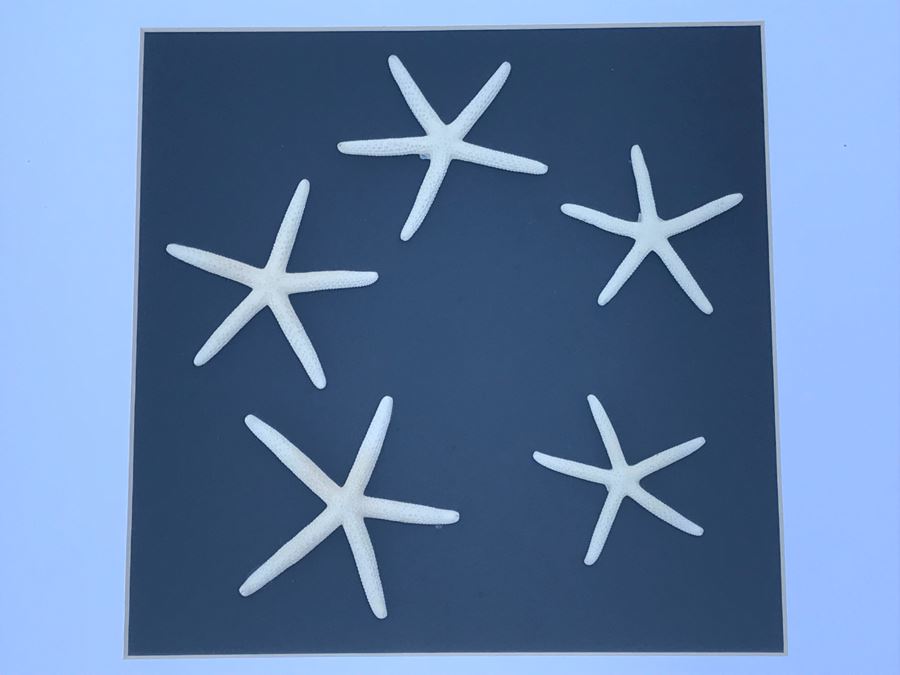 Pair Of Shadow Box Framed Faux Starfish (Larger: 19.5' X 19.5') [Photo 5]