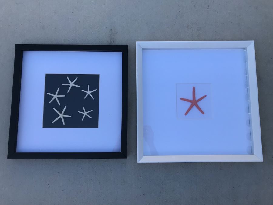 Pair Of Shadow Box Framed Faux Starfish (Larger: 19.5' X 19.5') [Photo 2]