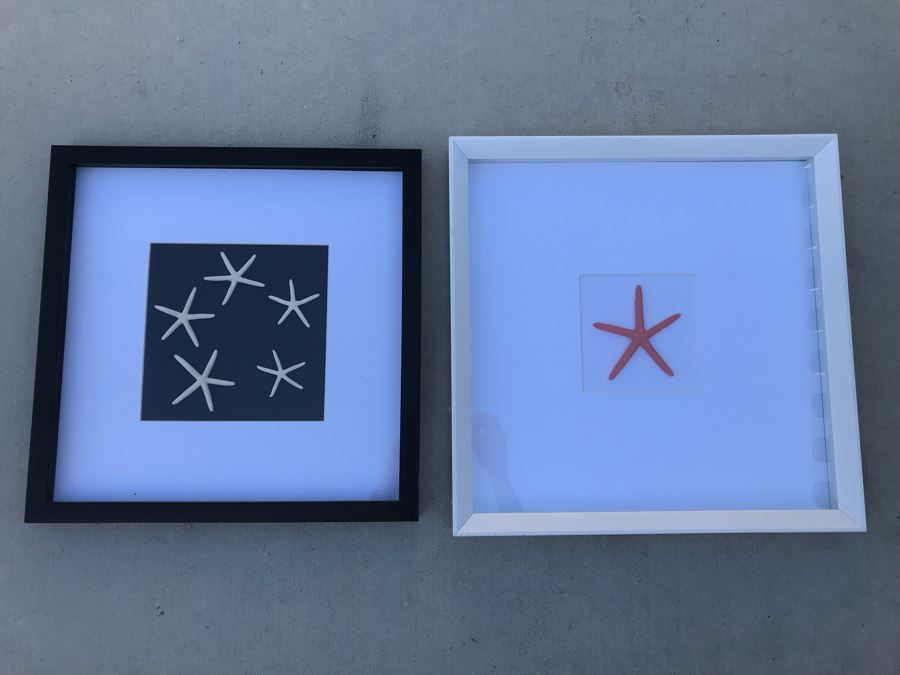 Pair Of Shadow Box Framed Faux Starfish (Larger: 19.5' X 19.5') [Photo 1]