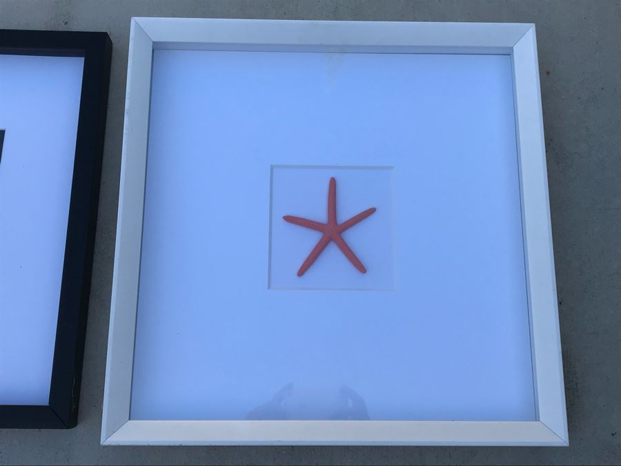 Pair Of Shadow Box Framed Faux Starfish (Larger: 19.5' X 19.5') [Photo 3]