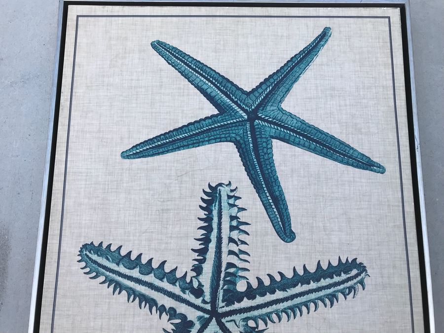 Framed Canvas Print Of Starfish 26' X 32' [Photo 3]