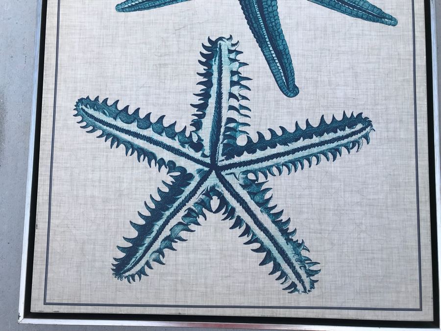 Framed Canvas Print Of Starfish 26' X 32' [Photo 2]