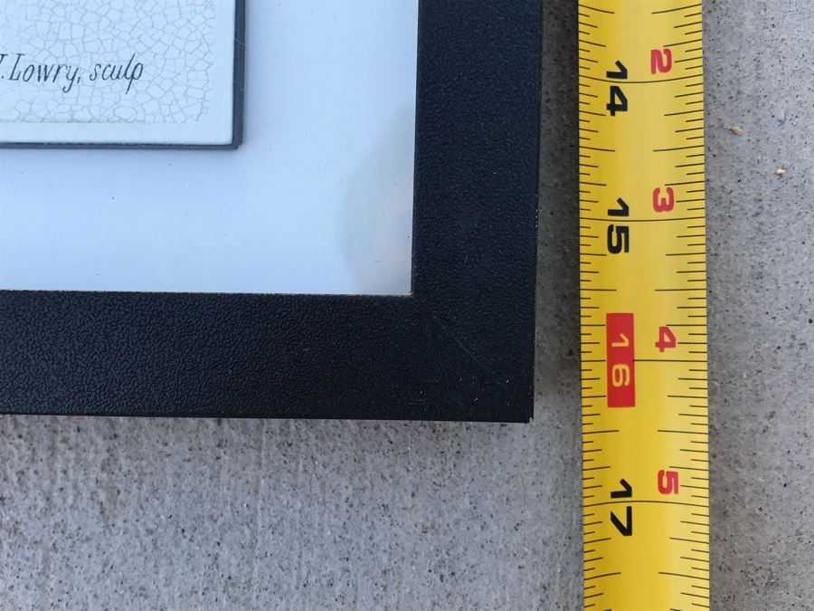 Pair Of Framed Prints Of Reptiles And Fishes 13.5' X 16.5' [Photo 9]