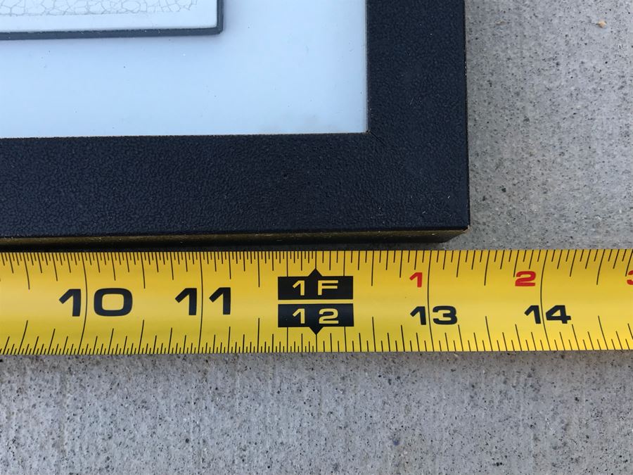 Pair Of Framed Prints Of Reptiles And Fishes 13.5' X 16.5' [Photo 8]