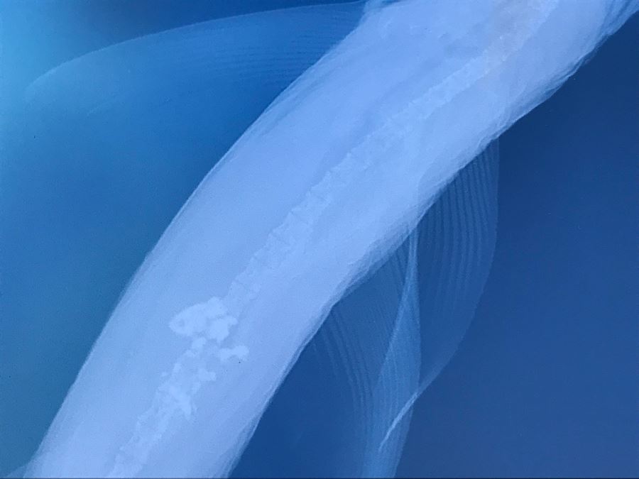 Framed Hammerhead Shark Picture Retails $99 25' X 29.5' [Photo 5]